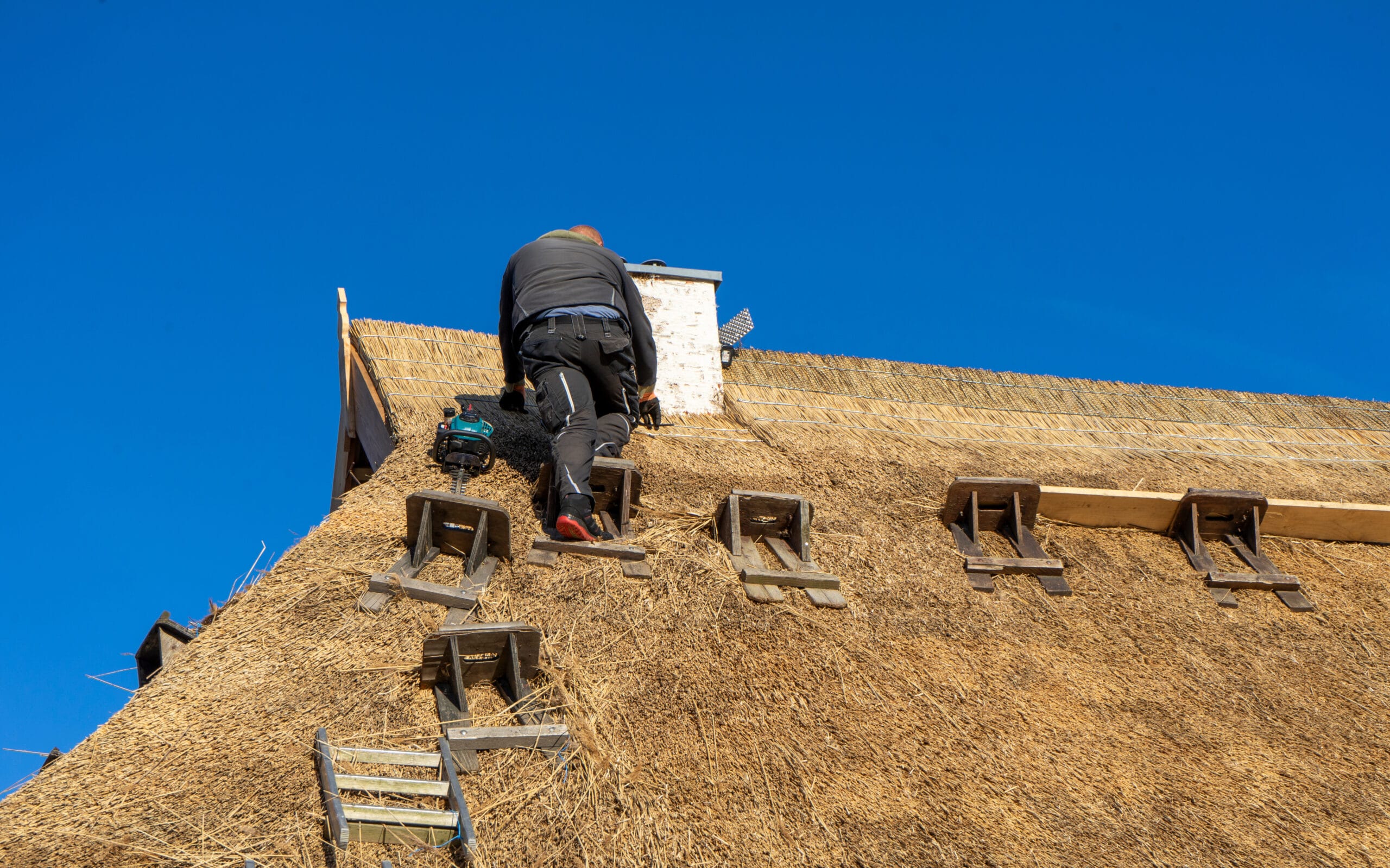 Rietdekker Rietdekkersbedrijf E. Schut