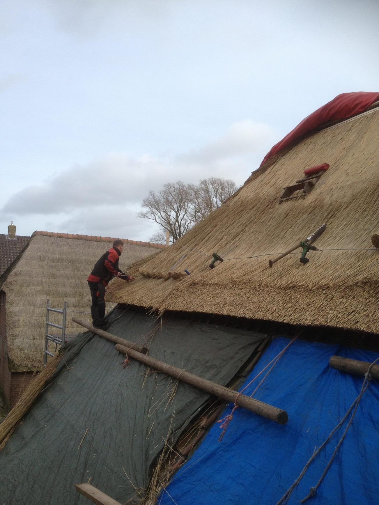 Aanleg rieten dak