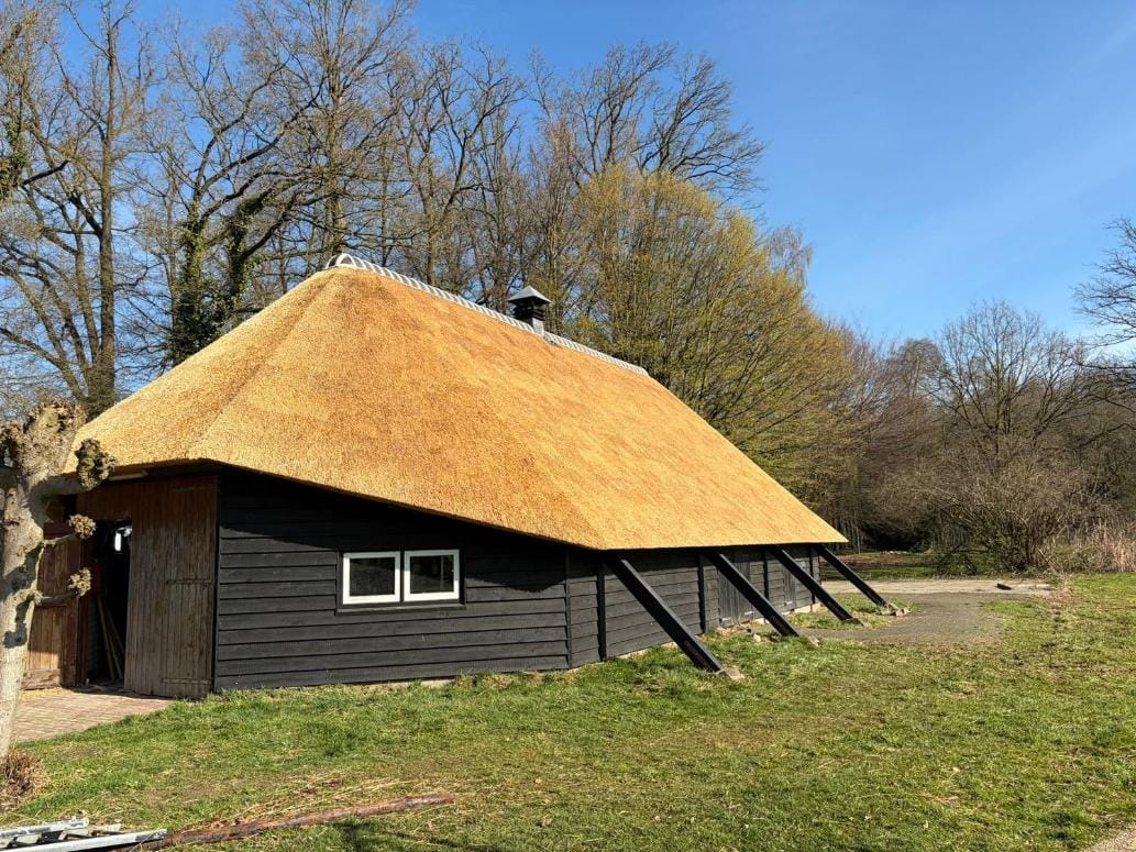 Vervanging rieten dak