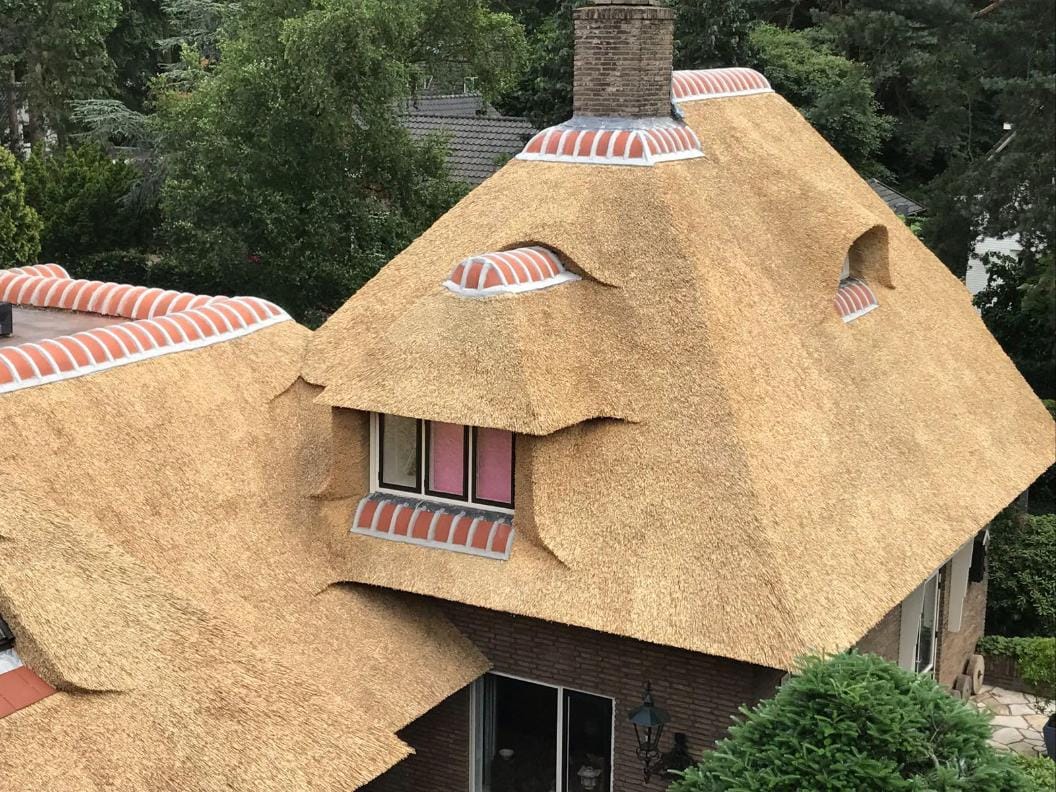 Vervanging rieten dak