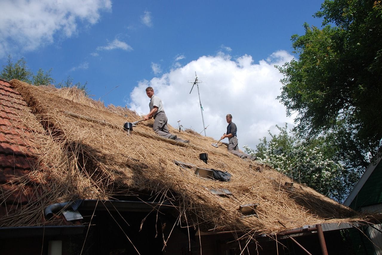 Rieten daken leggen